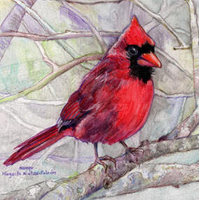 “Mr. CARDINAL” 7”x5” Watercolor pencils on 98# acid-free paper - SOLD