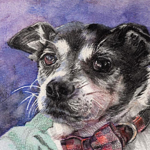 “BANDIT” 4.5”x7” WATERCOLOR PENCIL ON 140# COLD PRESSED PAPER (COMMISSION)