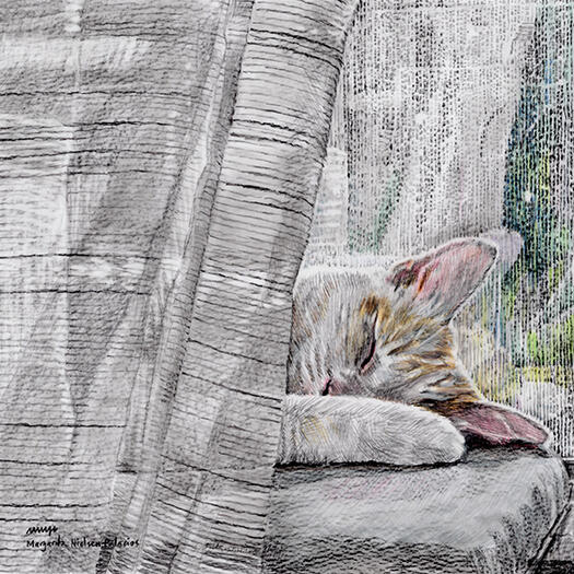 Cat Nap Cat Nap