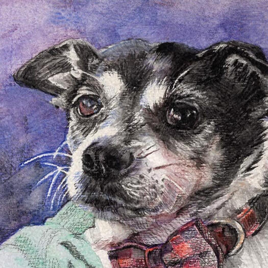“BANDIT” 4.5”x7” WATERCOLOR PENCIL ON 140# COLD PRESSED PAPER (COMMISSION) “BANDIT” 4.5”x7” WATERCOLOR PENCIL ON 140# COLD PRESSED PAPER (COMMISSION)