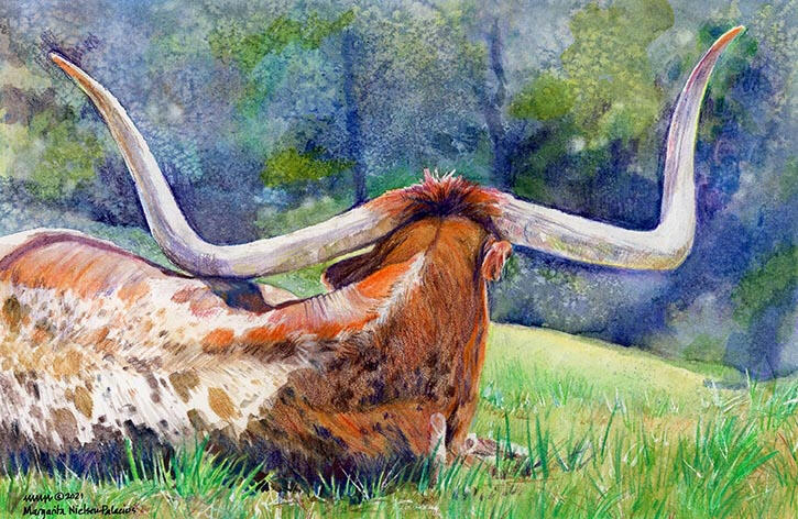 "LONGHORN" 10"x6.5" watercolor pencil - available "LONGHORN" 10"x6.5" watercolor pencil - available