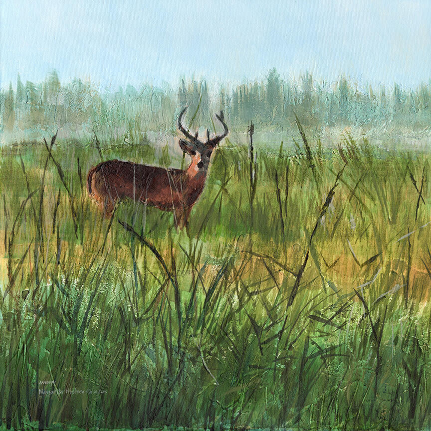 "Florida Deer Life: Startled" acrylics 12"x12" $300
