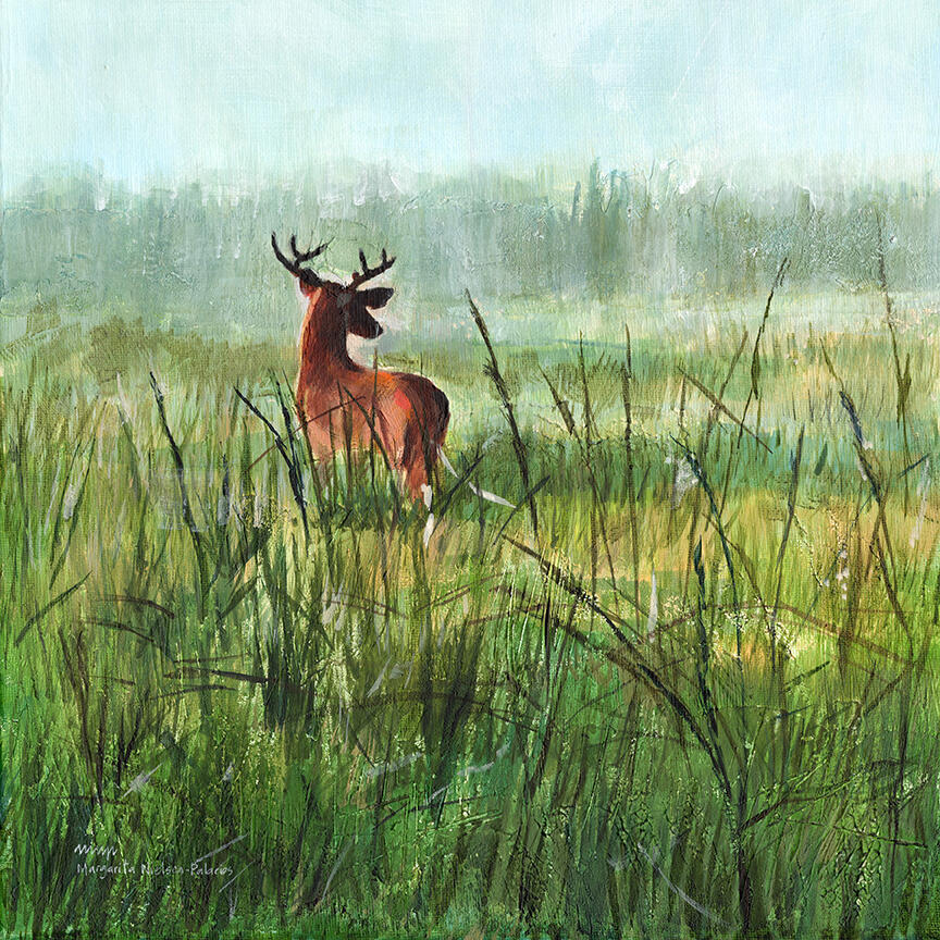 "Florida Deer Life: Presence" acrylics 12"x12" $300